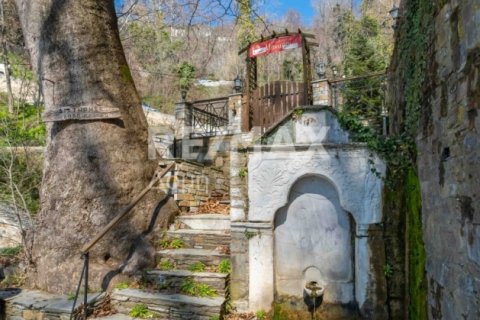 1 bedroom Commercial property in Magnesia, Greece No. 84663 20