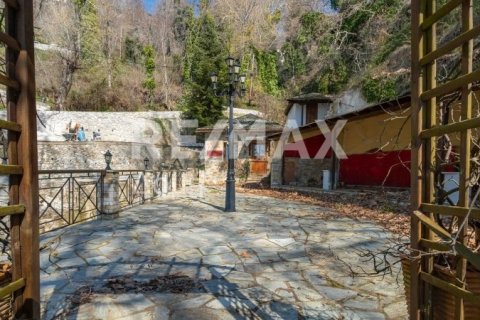 1 bedroom Commercial property in Magnesia, Greece No. 84663 19