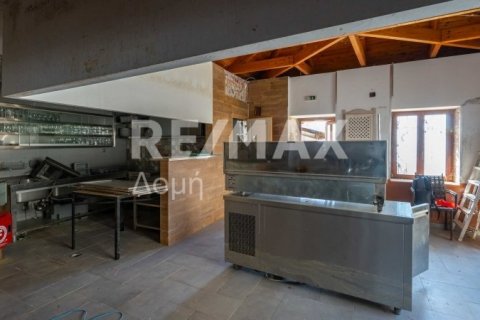 1 bedroom Commercial property in Magnesia, Greece No. 84663 17