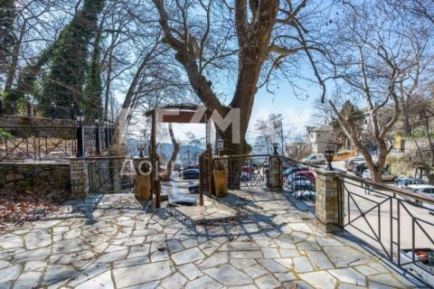 1 bedroom Commercial property in Magnesia, Greece No. 84663 2