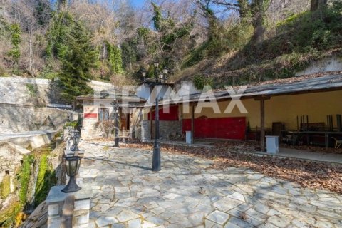 1 bedroom Commercial property in Magnesia, Greece No. 84663 3