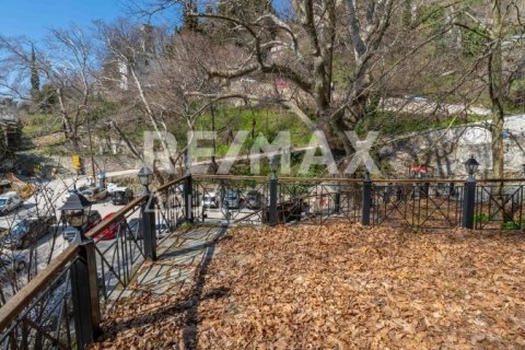 1 bedroom Commercial property in Magnesia, Greece No. 84663 16