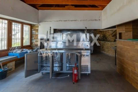 1 bedroom Commercial property in Magnesia, Greece No. 84663 14