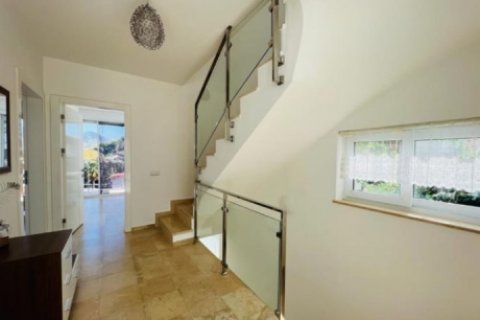 4 bedrooms Villa in Nong Ha, Vietnam No. 14566 4