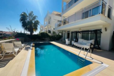 4 bedrooms Villa in Nong Ha, Vietnam No. 14566 17