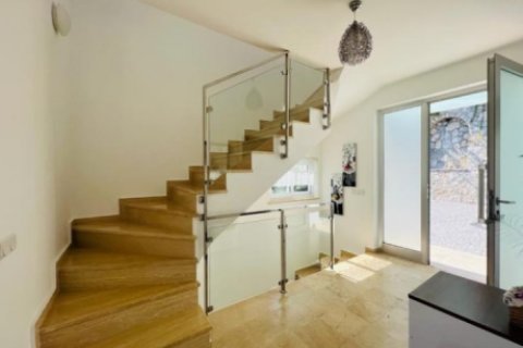 4 bedrooms Villa in Nong Ha, Vietnam No. 14566 22