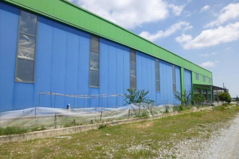 2800m² Affaires à Pieria, Greece No. 60394 3