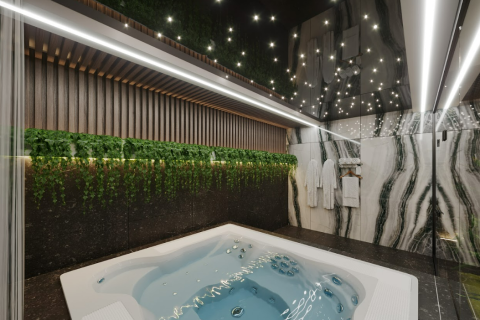 3 chambres Penthouse à Lien Chieu, Vietnam No. 12010 4