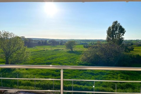 Дом с 3 спальнями в Халкидики, Греция №54777 26