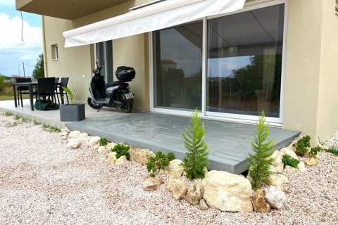 Дом с 3 спальнями в Халкидики, Греция №54777 30