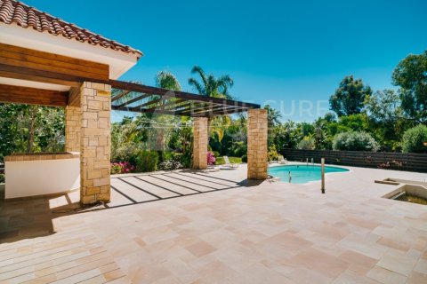 7 bedrooms Villa in Protaras, Cyprus No. 36560 8