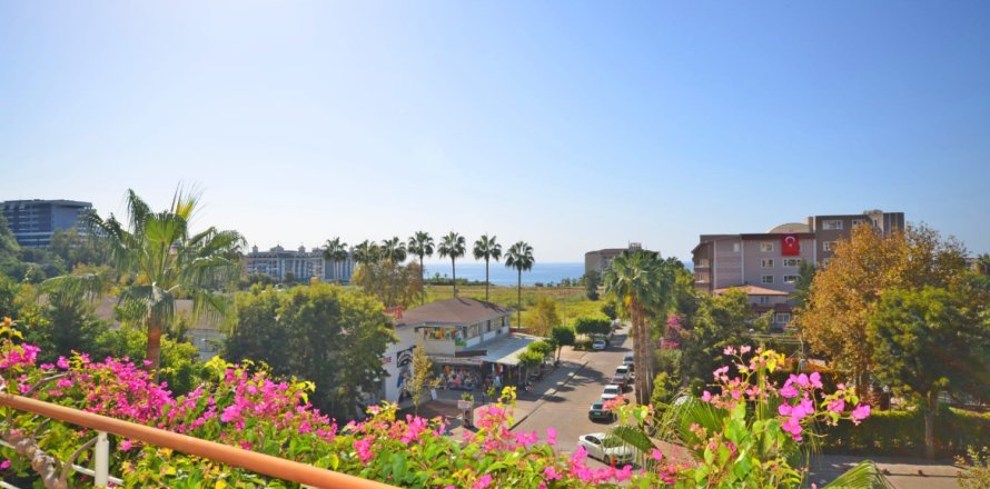 3 chambres Penthouse à Nong Ha, Vietnam No. 12518