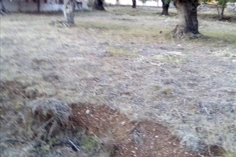 2537m² Land à Thesprotia, Greece No. 56644 25