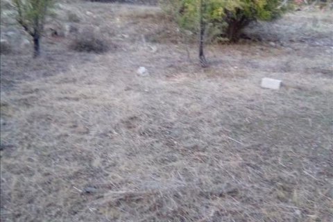 2537m² Land à Thesprotia, Greece No. 56644 28