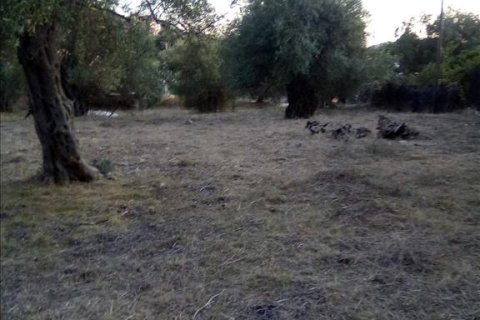 2537m² Land à Thesprotia, Greece No. 56644 29