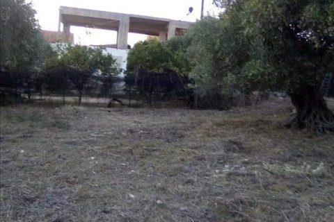 2537m² Land à Thesprotia, Greece No. 56644 26