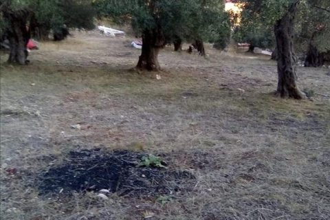 2537m² Land à Thesprotia, Greece No. 56644 30