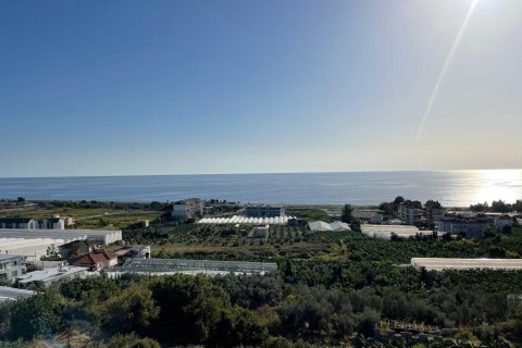 5 rooms Apartment in Ngu Hanh Son, Vietnam No. 21254 13