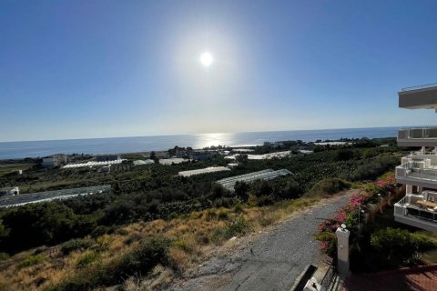 5 rooms Apartment in Ngu Hanh Son, Vietnam No. 21254 19