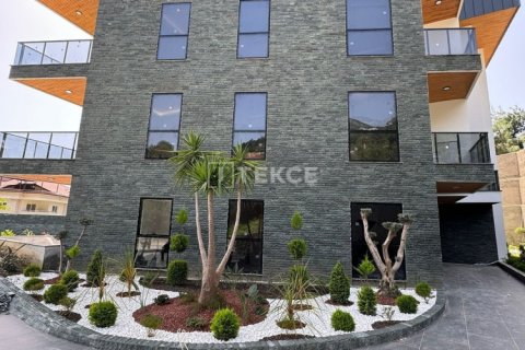 3 bedrooms Apartment in Chau Lang, Vietnam No. 14729 8