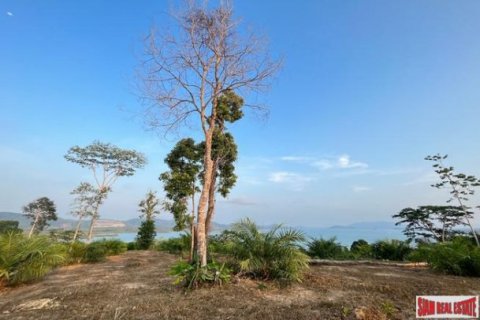 2784.8m² Land in Phang Nga, Thailand No. 96383 4