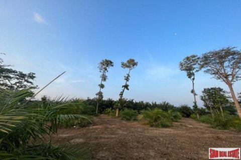 2784.8m² Land in Phang Nga, Thailand No. 96383 2