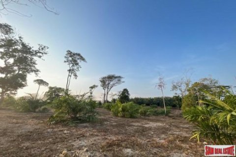 2784.8m² Land in Phang Nga, Thailand No. 96383 7