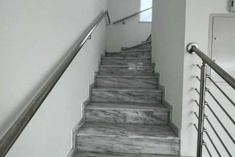 3 chambres House à Pegeia, Cyprus No. 74099 5