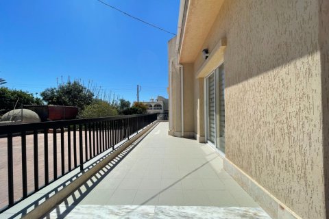 Земельный участок с 6 спальнями в Пафос, Кипр №65102 12