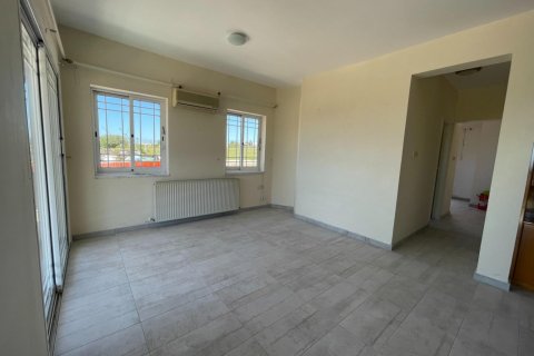 Земельный участок с 6 спальнями в Пафос, Кипр №65102 29