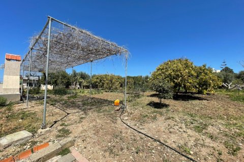 Земельный участок с 6 спальнями в Пафос, Кипр №65102 16
