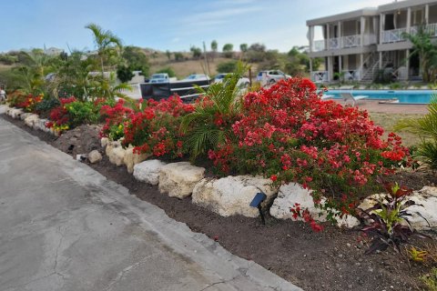 1 bedroom Villa in Jolly Harbour, Antigua and Barbuda No. 61358 7