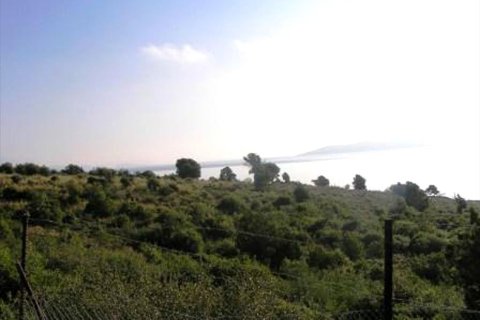 23940m² Land in Lefkada, Greece No. 60083 3