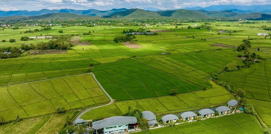 8 bedrooms Hotel in Chiang Mai, Thailand No. 98260