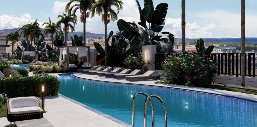 1 bedroom Apartment in Tan Thanh Binh, Vietnam No. 115703