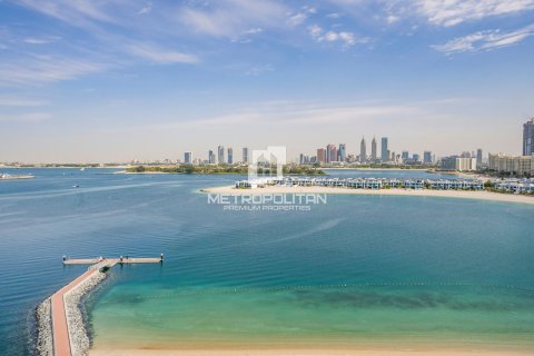 Квартира с 3 спальнями в Phuc Xa, Вьетнам №93995 15