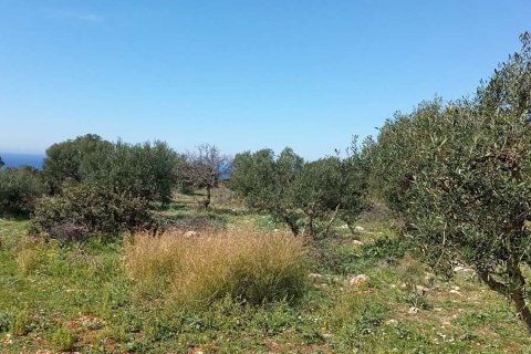 Land in Zakynthos, Greece No. 78821 7
