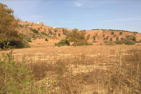 100000m² Land à Rethymno, Greece No. 113288 10