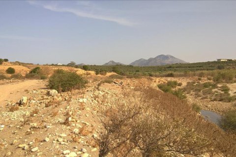 100000m² Land à Rethymno, Greece No. 113288 4