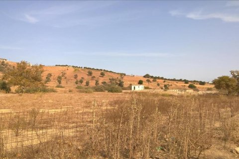 100000m² Land à Rethymno, Greece No. 113288 5