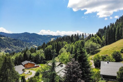 4451m² Land in Les Gets, France No. 99486 14