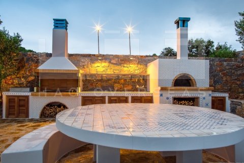 5 bedrooms Villa in Crete, Greece No. 24355 29