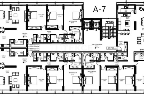 3 chambres Penthouse à Phu Ngai, Vietnam No. 11134 29