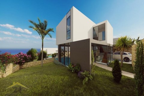 3 bedrooms Villa in Pegeia, Cyprus No. 39134 16