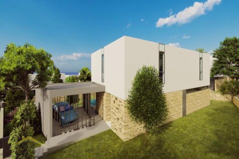 3 bedrooms Villa in Pegeia, Cyprus No. 39134 6