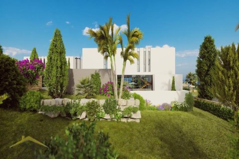 3 bedrooms Villa in Pegeia, Cyprus No. 39134 10