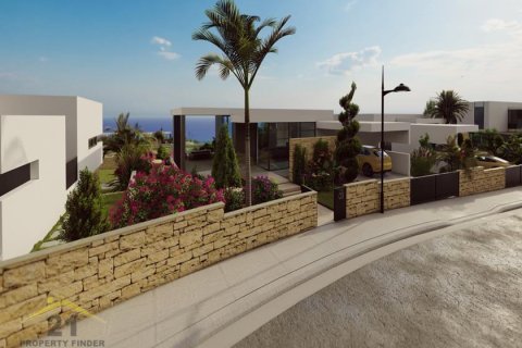 3 bedrooms Villa in Pegeia, Cyprus No. 39134 11