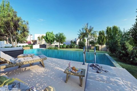 3 bedrooms Villa in Pegeia, Cyprus No. 39134 2