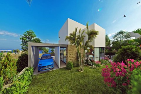 3 bedrooms Villa in Pegeia, Cyprus No. 39134 8