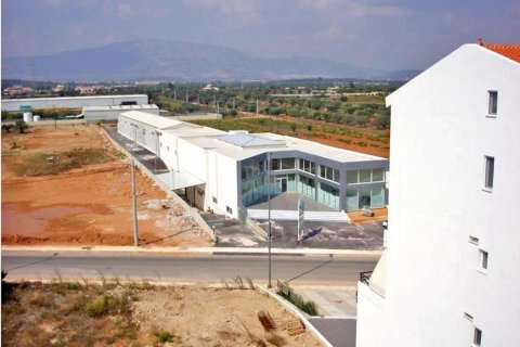 2930m² Building in Markopoulo Mesogaias, Greece No. 59689 6